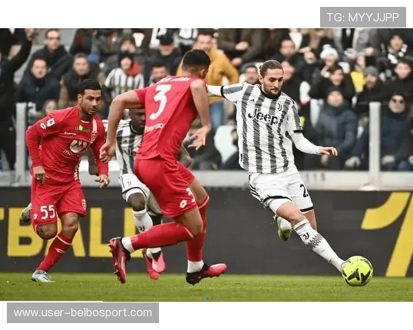 蒙扎俱乐部崛起之路解析意甲赛场激情与荣耀交织故事